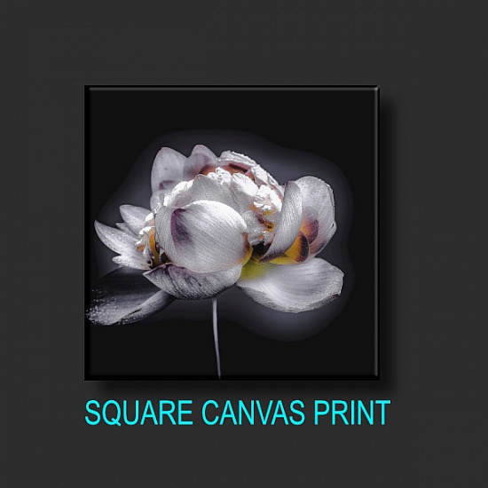 SQUARE CANVAS PRINT - YOUR OWN CUSTOM IMAGE