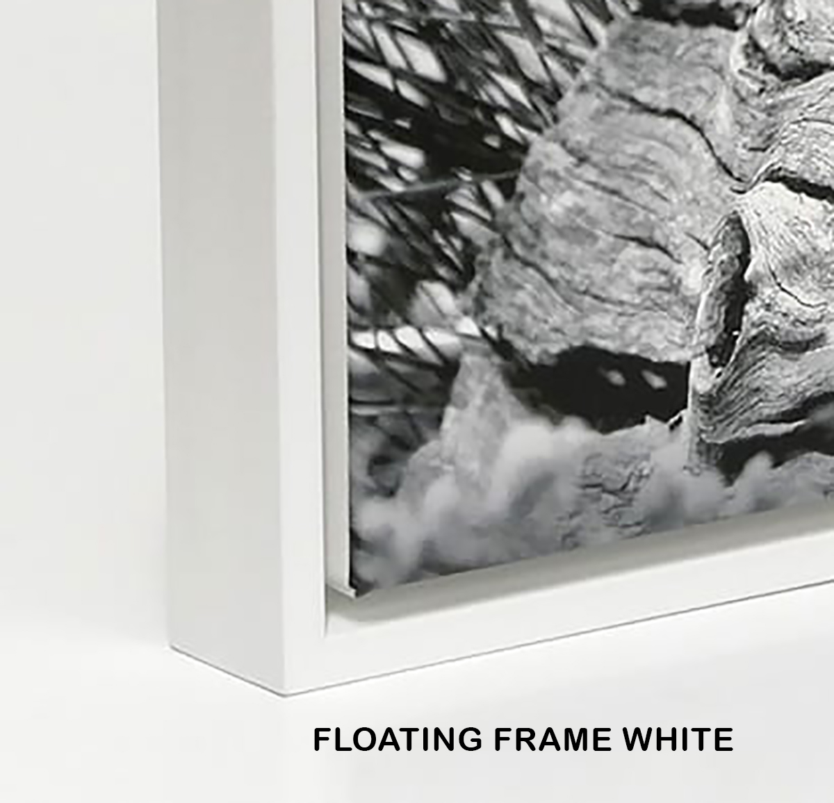 RAW timber, WHITE, BLACK, Floating Frames (shadow box frame) DIY Canvas kit | White_floating_frame_V1.jpg