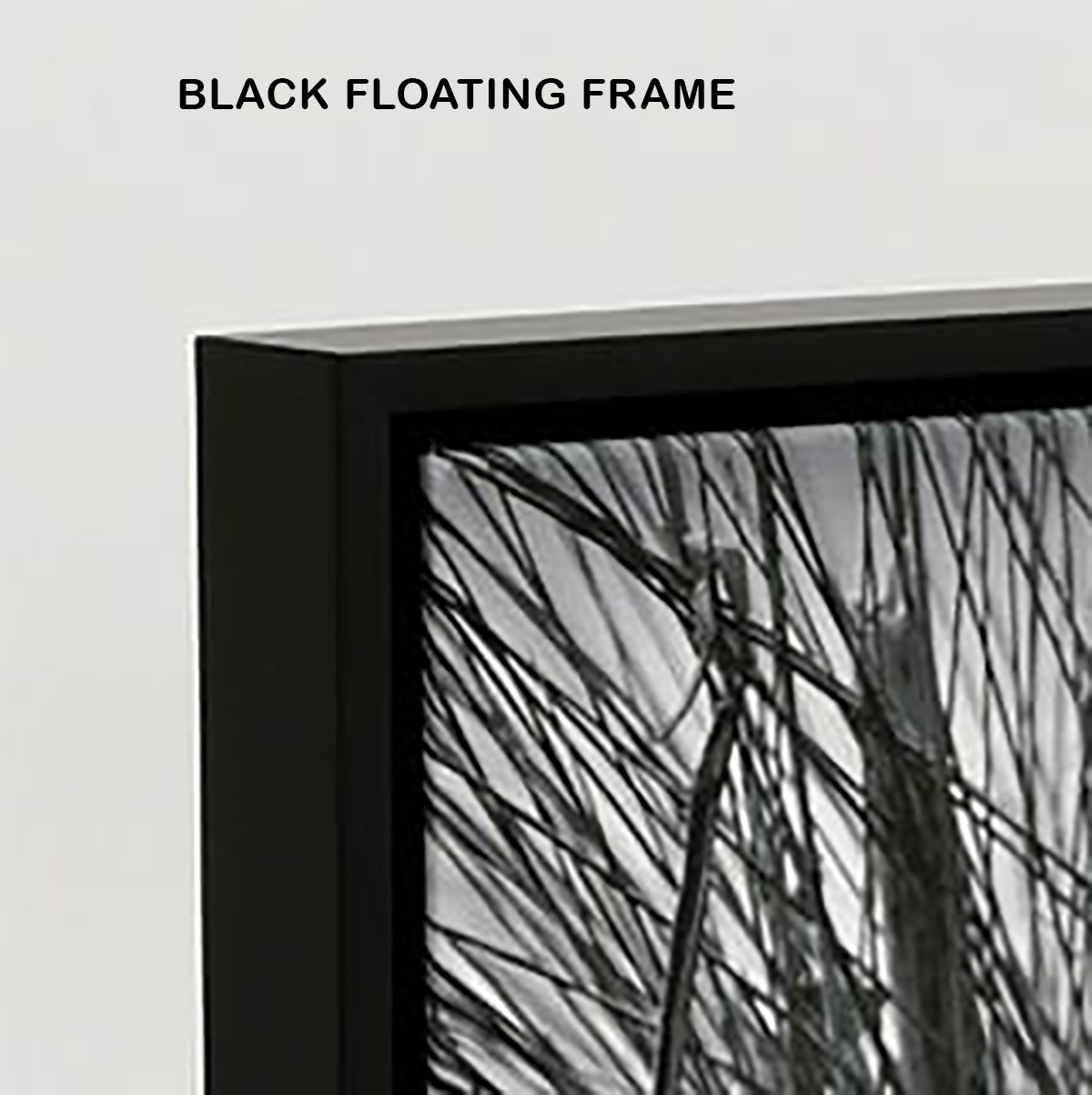 FLOATING FRAME (SHADOW BOX) - SQUARE CANVAS PRINT YOUR OWN CUSTOM IMAGE | Black_Floating_frameV1.jpg